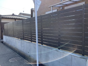 �G�N�X�e���A�{�H��@�������É�s�@�ډB���t�F���X��t