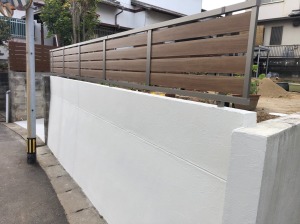 �G�N�X�e���A�{�H��@�����������S�V�{���@�ډB���t�F���X��t