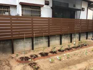 �G�N�X�e���A�{�H��@�����������S�V�{���@�ډB���t�F���X��t