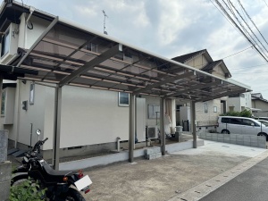 �G�N�X�e���A�{�H��@�����������S�������@�J�[�|�[�g��t