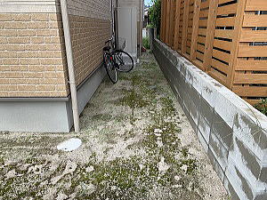 ���t�H�[���O�\�H���@�����s����@�h���V�[�g�����~�H���@���H�O