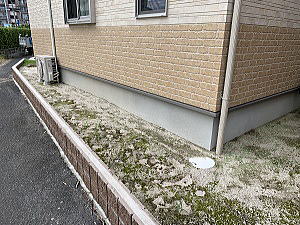 ���t�H�[���O�\�H���@�����s����@�h���V�[�g�����~�H���@���H�O