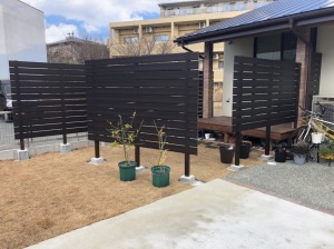 �G�N�X�e���A�{�H��@�����s����@�ډB���t�F���X��t