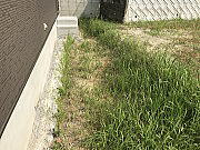 �^���y���n