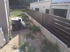 �G�N�X�e���A