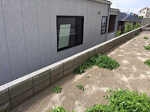 �G�N�X�e���A