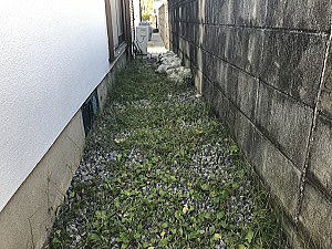 ���t�H�[���O�\�H��