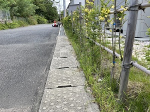 ���t�H�[���O�\�H���@�����������S�V�{���@���H�O