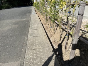 ���t�H�[���O�\�H���@�����������S�V�{���@�@��