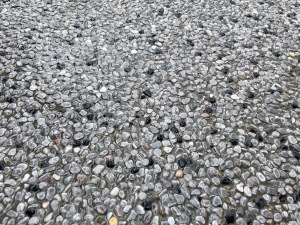 ���t�H�[���O�\�H���@�����������S�V�{���@�������􂢏o��