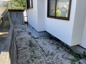 ���t�H�[���O�\�H���@�����s����@�h���V�[�g�����~�@���u�P��