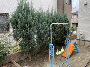 ���t�H�[���O�\�H���@�����s����@���ؓP���@�ډB���t�F���X�@���H�O