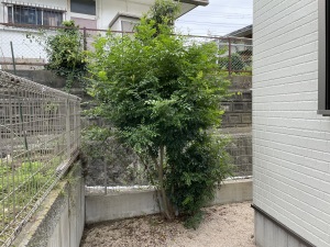 ���t�H�[���O�\�H���@�����s����@���ؓP���@before