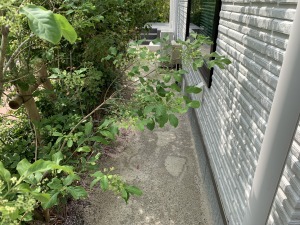 ���t�H�[���O�\�H���@�����s����@�h���V�[�g�����~�{�H�ߒ��@���H�O