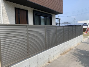 �G�N�X�e���A�{�H��@�����������S�V�{���@�ډB���t�F���X��t�H��