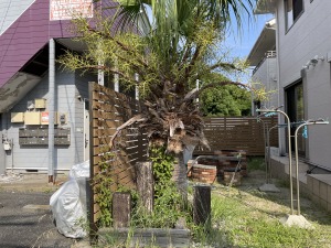 �r�t�H�[�E�A�t�^�[�@�����s����@���H�O