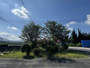 �r�t�H�[�A�t�^�[�@�������c��s�@���H�O