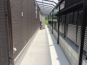 �G�N�X�e���A�@�����������S�@�e���X/�ډB���t�F���X