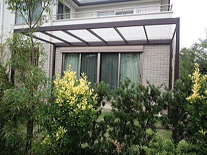 �G�N�X�e���A