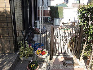 �G�N�X�e���A