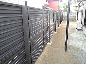 �G�N�X�e���A