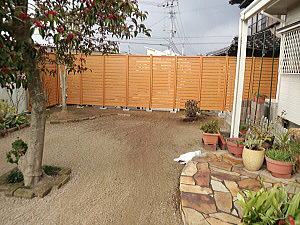 �G�N�X�e���A