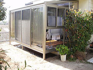 �G�N�X�e���A