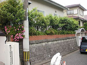 �r�t�H�[�E�A�t�^�[