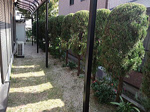 �r�t�H�[�E�A�t�^�[